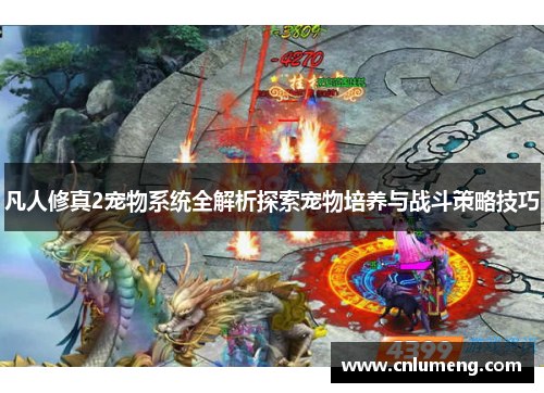 凡人修真2宠物系统全解析探索宠物培养与战斗策略技巧